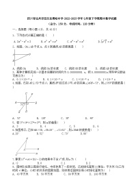 四川省达州市宣汉县樊哙中学2022-2023学年七年级下学期期中数学试题