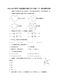 2022-2023学年广东省揭阳市普宁市八年级（下）期末数学试卷（含解析）