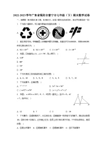 2022-2023学年广东省揭阳市普宁市七年级（下）期末数学试卷（含解析）