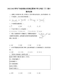 2022-2023学年广东省珠海市香洲区夏湾中学七年级（下）期中数学试卷（含解析）