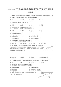 2022-2023学年海南省昌江县思源实验学校八年级（下）期中数学试卷（含解析）