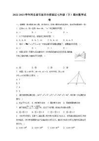 2022-2023学年河北省石家庄市桥西区七年级（下）期末数学试卷（含解析）