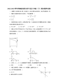 2022-2023学年河南省洛阳市伊川县八年级（下）期末数学试卷（含解析）