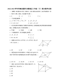 河南省漯河市郾城区2022-2023学年八年级下学期期末数学试卷（含答案）