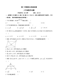 八年级下学期期末数学试题