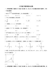 八年级下学期期末数学试题