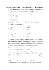 2022-2023学年山东省济宁市金乡县七年级（下）期中数学试卷