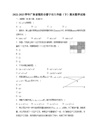 2022-2023学年广东省揭阳市普宁市八年级（下）期末数学试卷