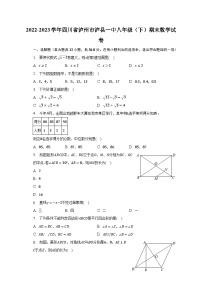 2022-2023学年四川省泸州市泸县一中八年级（下）期末数学试卷（含解析）