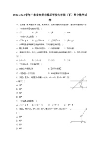 2022-2023学年广东省东莞市雅正学校七年级（下）期中数学试卷（含解析）