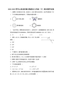 2022-2023学年山东省济南市槐荫区七年级（下）期末数学试卷（含解析）