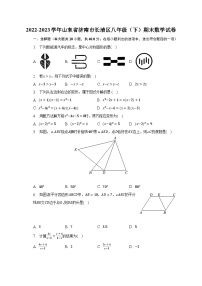 2022-2023学年山东省济南市长清区八年级（下）期末数学试卷（含解析）