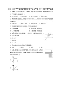 2022-2023学年山东省枣庄市市中区七年级（下）期中数学试卷（含解析）