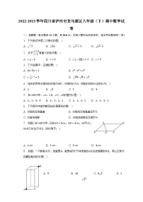 2022-2023学年四川省泸州市龙马潭区八年级（下）期中数学试卷（含解析）