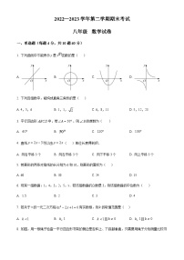 福建省福州江南水都中学2022-2023学年八年级下学期期末数学试题