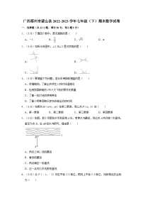 广西梧州市蒙山县2022-2023学年七年级下学期期末数学试卷（含答案）