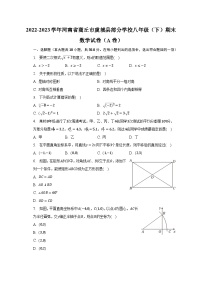 2022-2023学年河南省商丘市虞城县部分学校八年级（下）期末数学试卷（A卷）