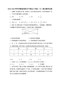 2022-2023学年河南省信阳市平桥区八年级（下）期末数学试卷
