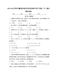 2022-2023学年安徽省合肥市庐阳区寿春中学八年级（下）期末数学试卷（含解析）