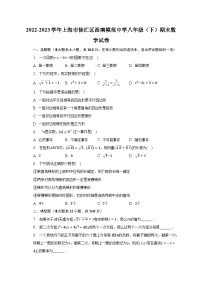 2022-2023学年上海市徐汇区西南模范中学八年级（下）期末数学试卷（含解析）