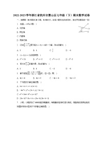 2022-2023学年浙江省杭州市萧山区七年级（下）期末数学试卷（含解析）