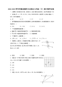 2022-2023学年河南省漯河市召陵区七年级（下）期中数学试卷（含解析）