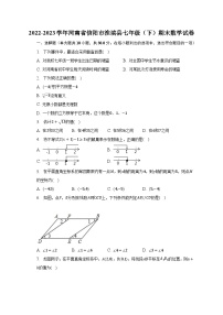 2022-2023学年河南省信阳市淮滨县七年级（下）期末数学试卷（含解析）