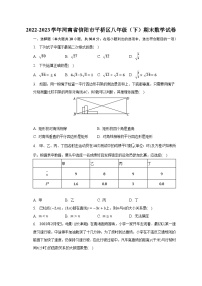 2022-2023学年河南省信阳市平桥区八年级（下）期末数学试卷（含解析）