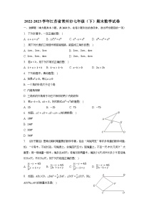 2022-2023学年江苏省常州市七年级（下）期末数学试卷（含解析）