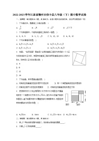 2022-2023学年江西省赣州市信丰县八年级（下）期中数学试卷（含解析）