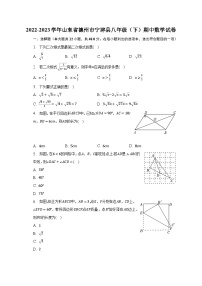 2022-2023学年山东省德州市宁津县八年级（下）期中数学试卷（含解析）