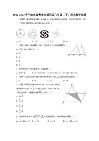 2022-2023学年山东省青岛市城阳区八年级（下）期末数学试卷（含解析）