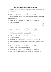 2023年云南大学附中中考数学三模试卷（含解析）