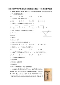 广东省汕头市龙湖区2022-2023学年七年级下学期期末数学试卷（含答案）