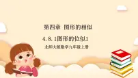 北师大版九年级上册8 图形的位似完美版ppt课件