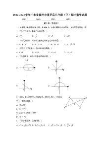 2022-2023学年广东省惠州市博罗县八年级(下)期末数学试卷(含解析)