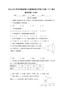 2022-2023学年河南省商丘市虞城县部分学校八年级（下）期末数学试卷（B卷）（含解析）