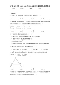 广东省江门市2020-2021学年九年级上学期期末数学试题卷