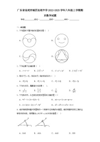 广东省汕尾市城区汕尾中学2022-2023学年八年级上学期期末数学试题