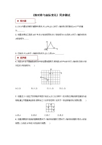 北师大版八年级上册3 轴对称与坐标变化精练