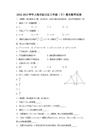 2022-2023学年上海市虹口区八年级（下）期末数学试卷（含解析）