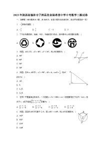 2023年陕西省榆林市子洲县张家港希望中学中考数学三模试卷（含解析）