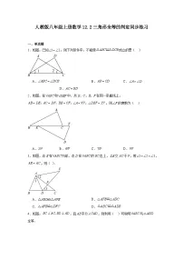 初中数学人教版八年级上册12.2 三角形全等的判定复习练习题