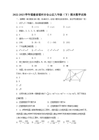 福建省福州市仓山区2022-2023学年下学期八年级期末数学试卷（含答案）