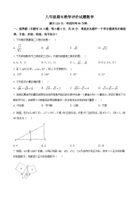 八年级下学期期末数学试题 (6)