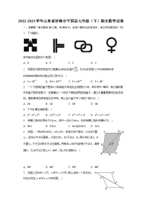 2022-2023学年山东省济南市平阴县七年级（下）期末数学试卷