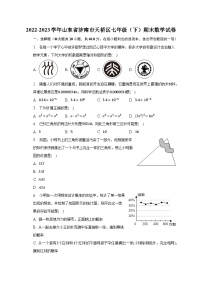 2022-2023学年山东省济南市天桥区七年级（下）期末数学试卷