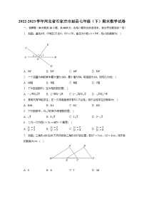 2022-2023学年河北省石家庄市赵县七年级（下）期末数学试卷