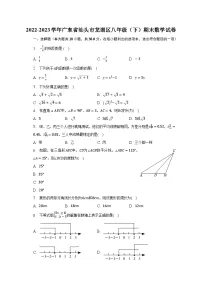 2022-2023学年广东省汕头市龙湖区八年级(下)期末数学试卷