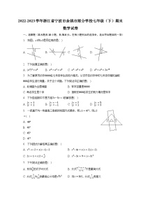 2022-2023学年浙江省宁波市余姚市部分学校七年级（下）期末数学试卷